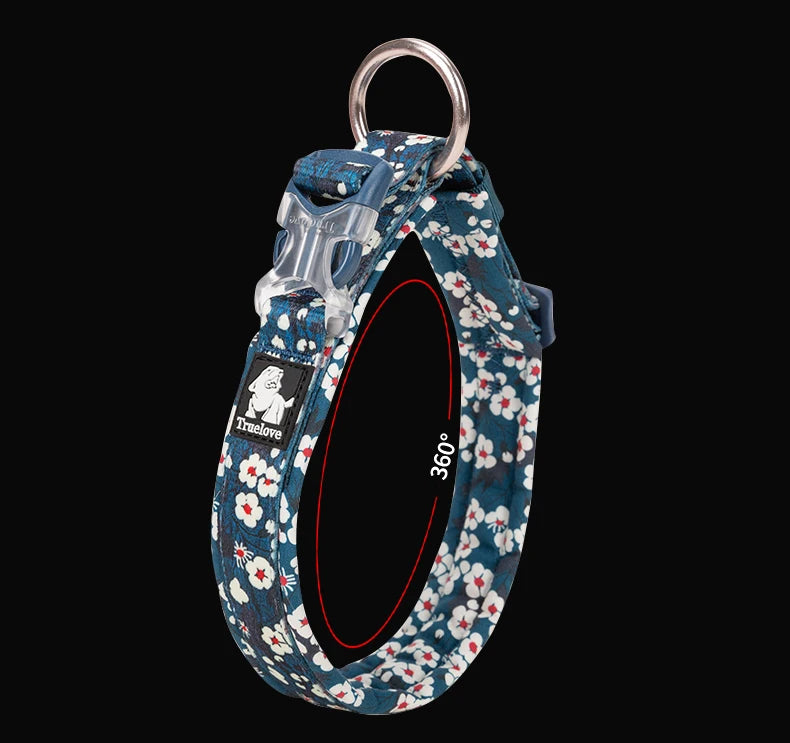 Collier chien