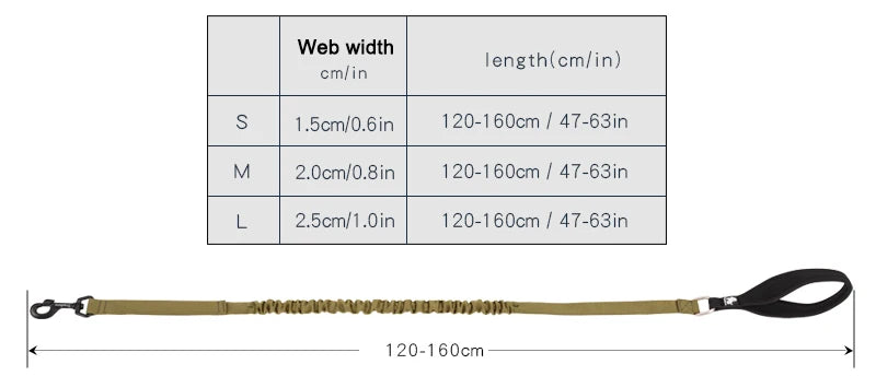 Laisse chien durable