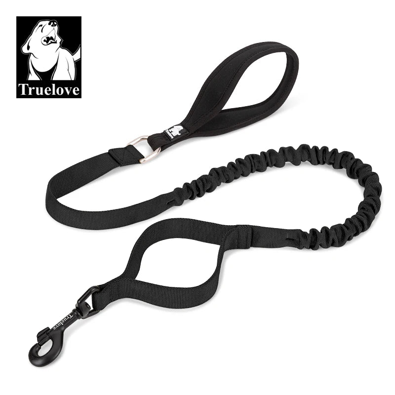 Laisse chien durable