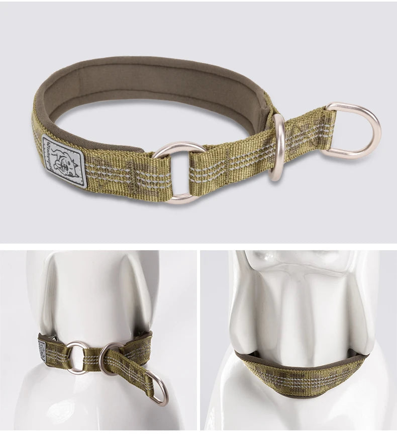 Collier chien réfléchissant