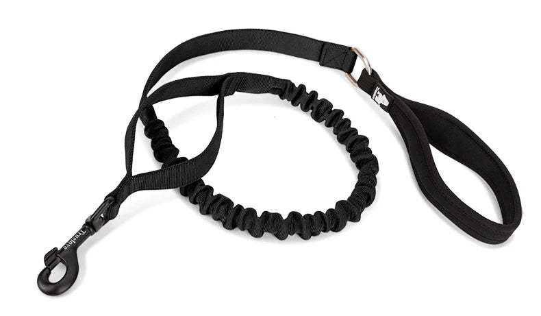 Laisse chien durable