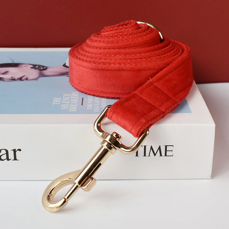 Collier velours rouge personnalisé pour chien