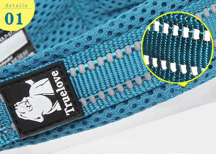 Collier chien réfléchissant