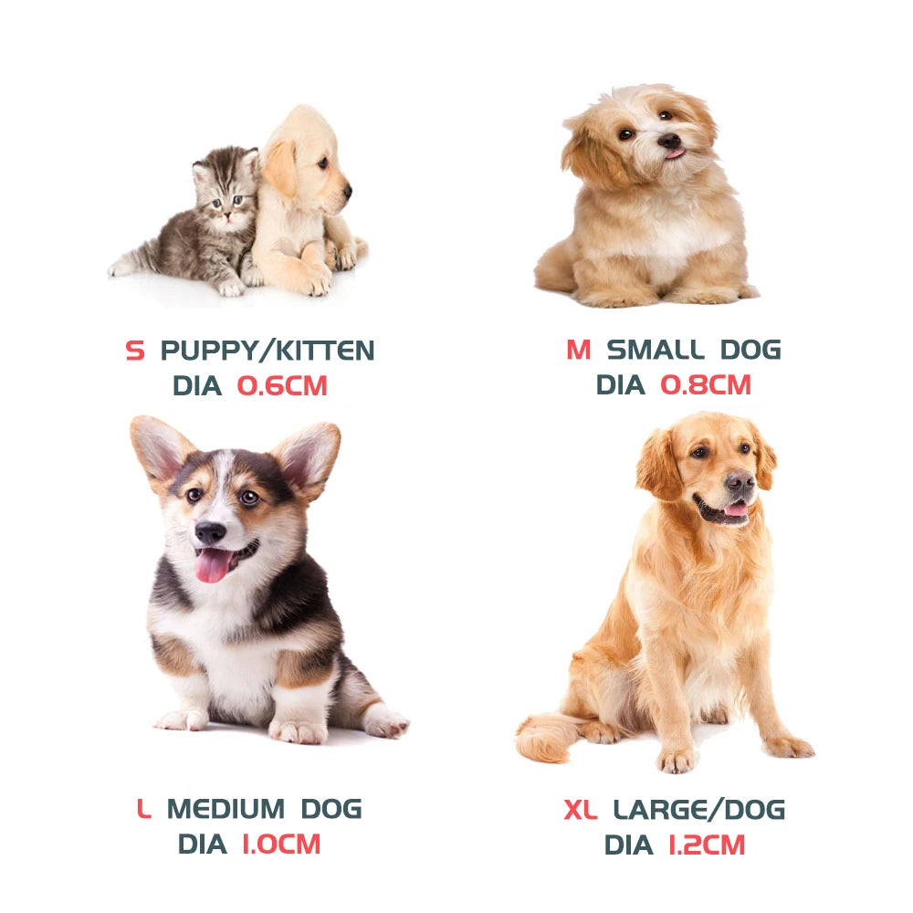 Laisse chien durable réfléchissant