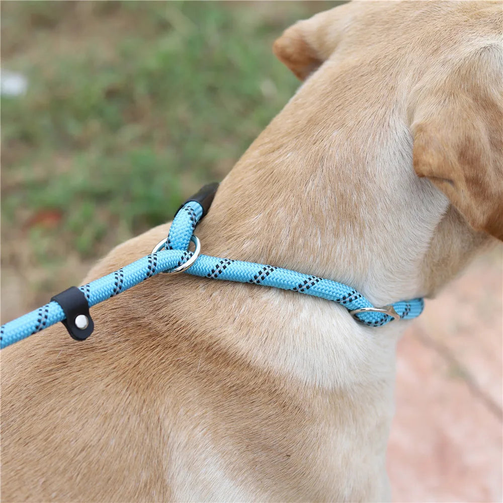 Laisse chien durable réfléchissant