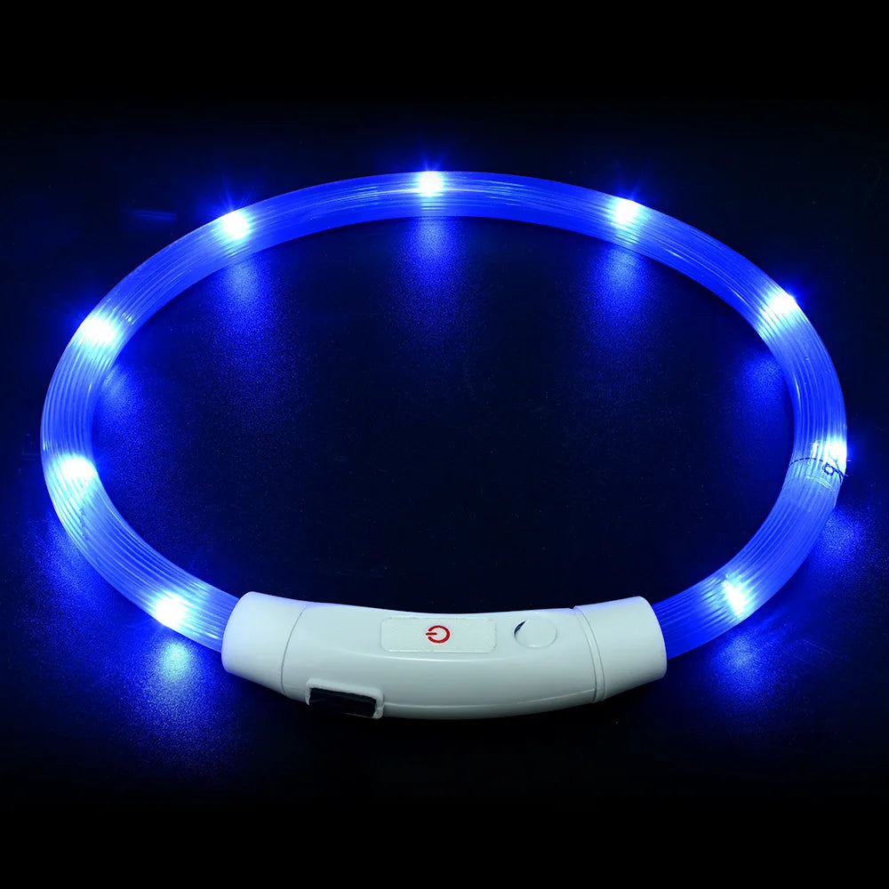 Collier LED chien USB lumineux rechargeable nuit