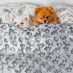 Couverture hiver chien chat lavable douce toutes tailles