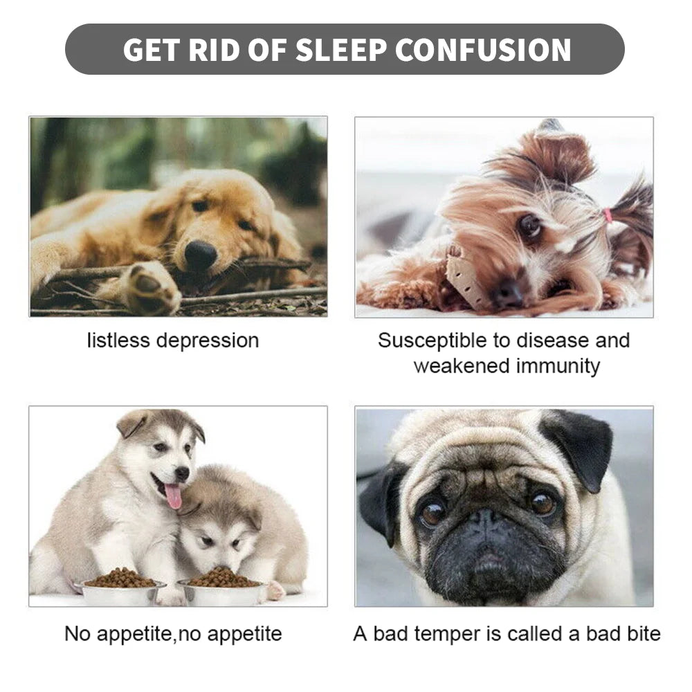 Panier peluche chien chat carré grande taille