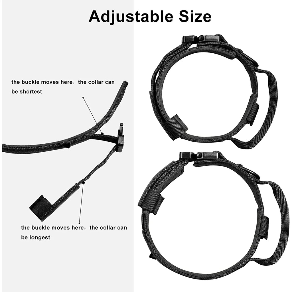 Laisse chien tactique