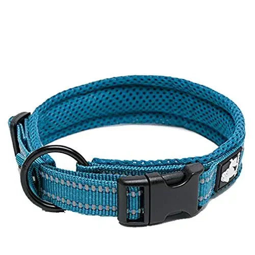Collier chien réfléchissant