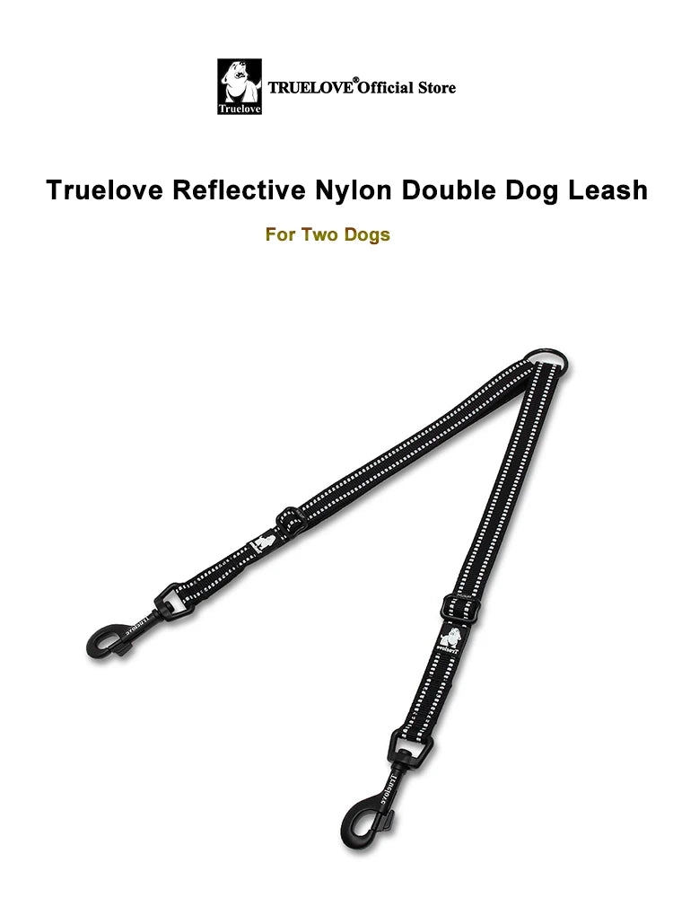 Laisse chien durable réfléchissant