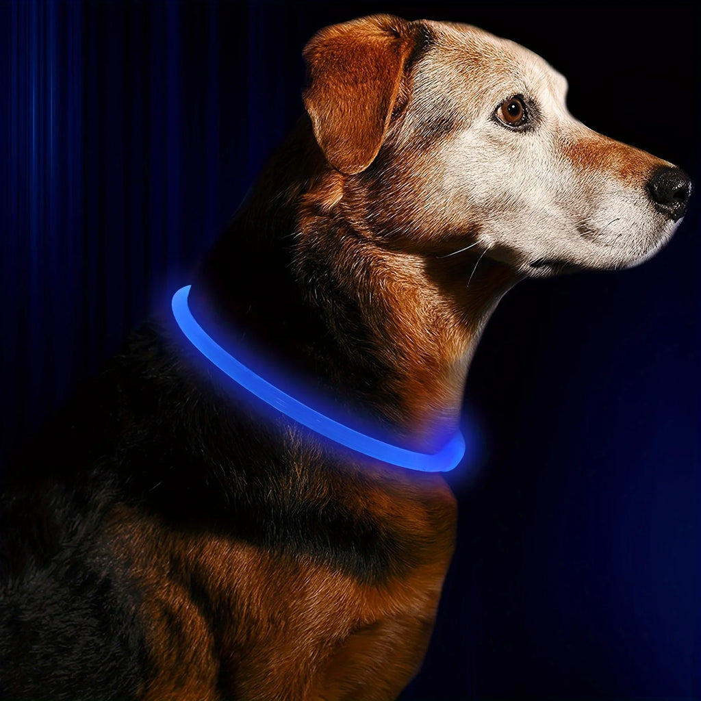 Collier LED chien USB lumineux rechargeable nuit