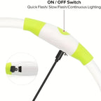 Collier LED chien USB lumineux rechargeable nuit