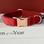 Collier chien personnalisable