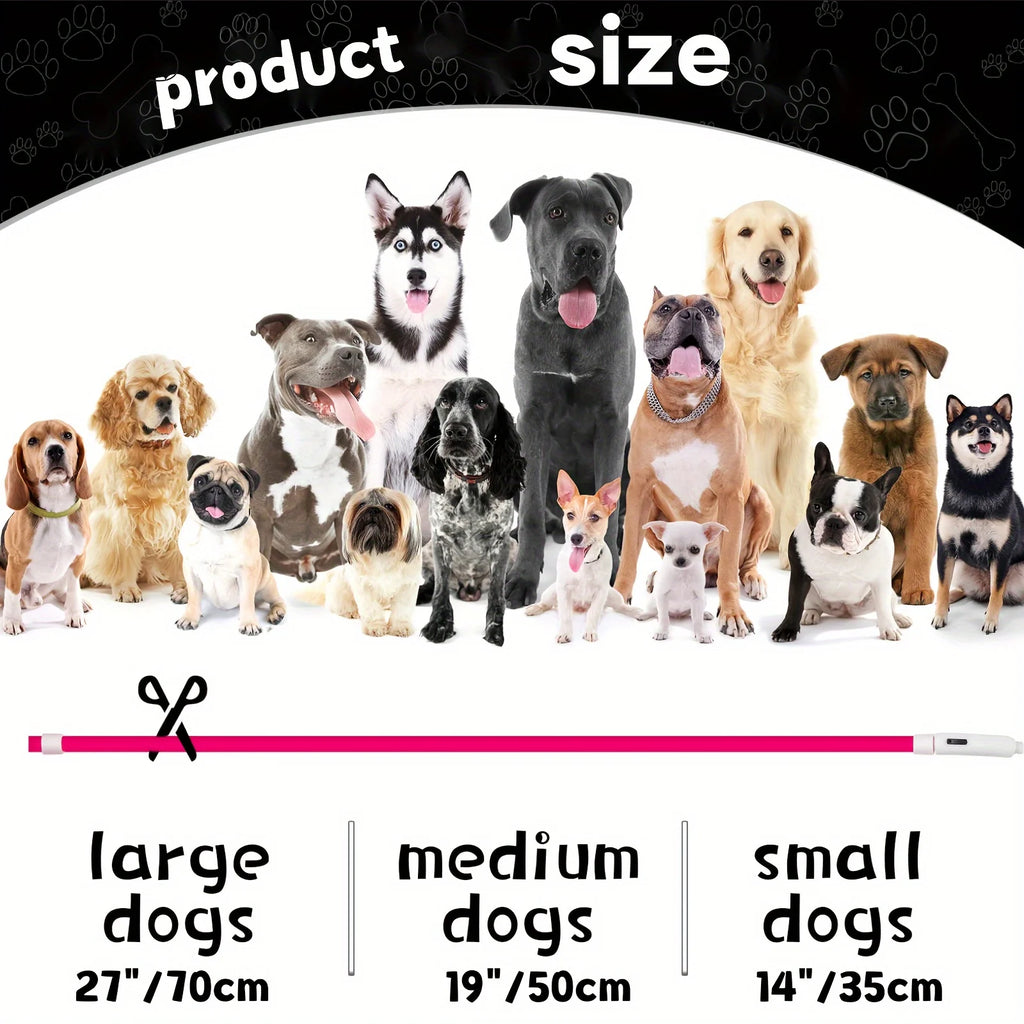 Collier LED chien USB lumineux rechargeable nuit