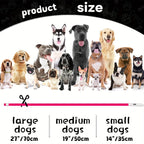 Collier LED chien USB lumineux rechargeable nuit