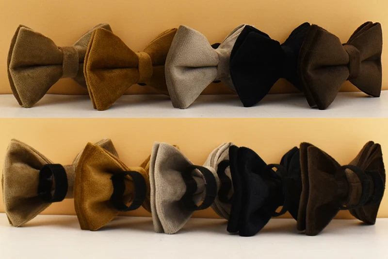 Collier chien velours personnalisé