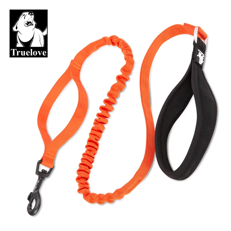 Laisse chien durable