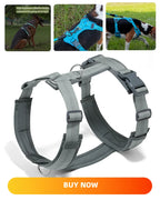 Harnais chien anti-traction