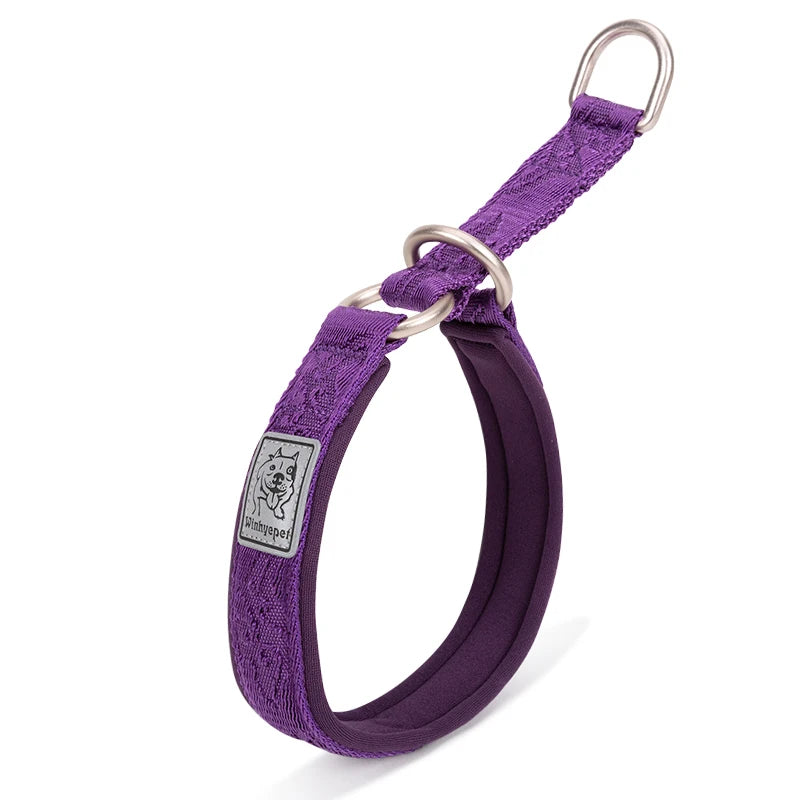 Collier chien réfléchissant