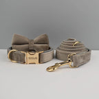 Collier chien velours personnalisé