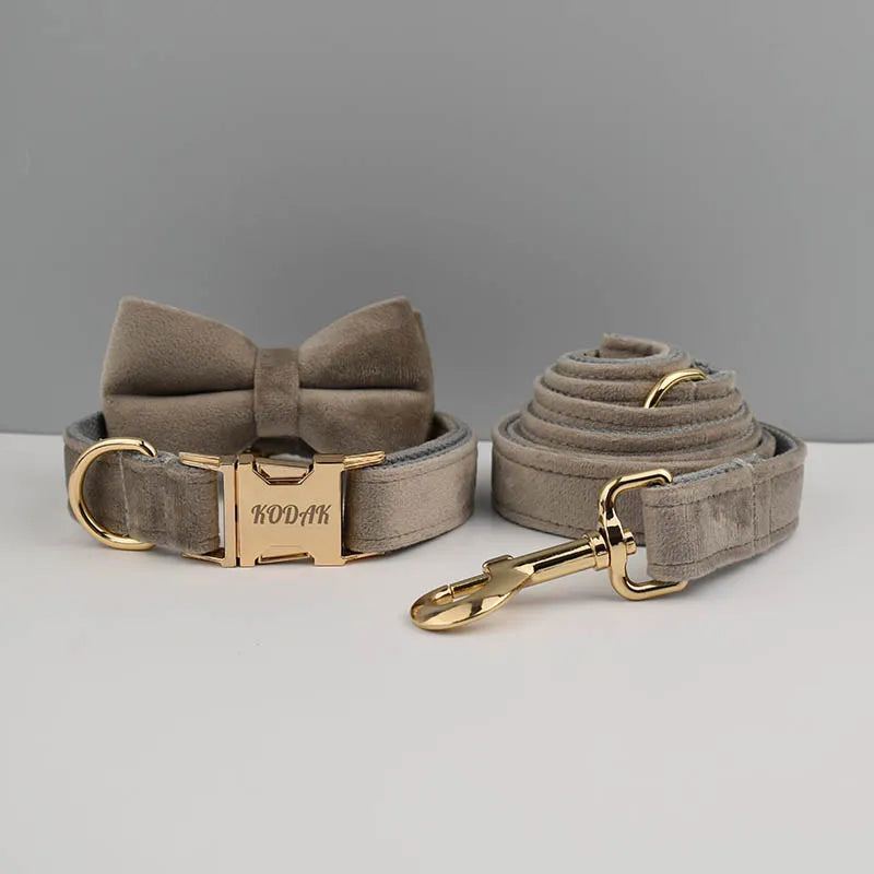 Collier chien velours personnalisé