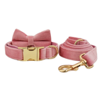 Collier chien velours personnalisé gravé premium