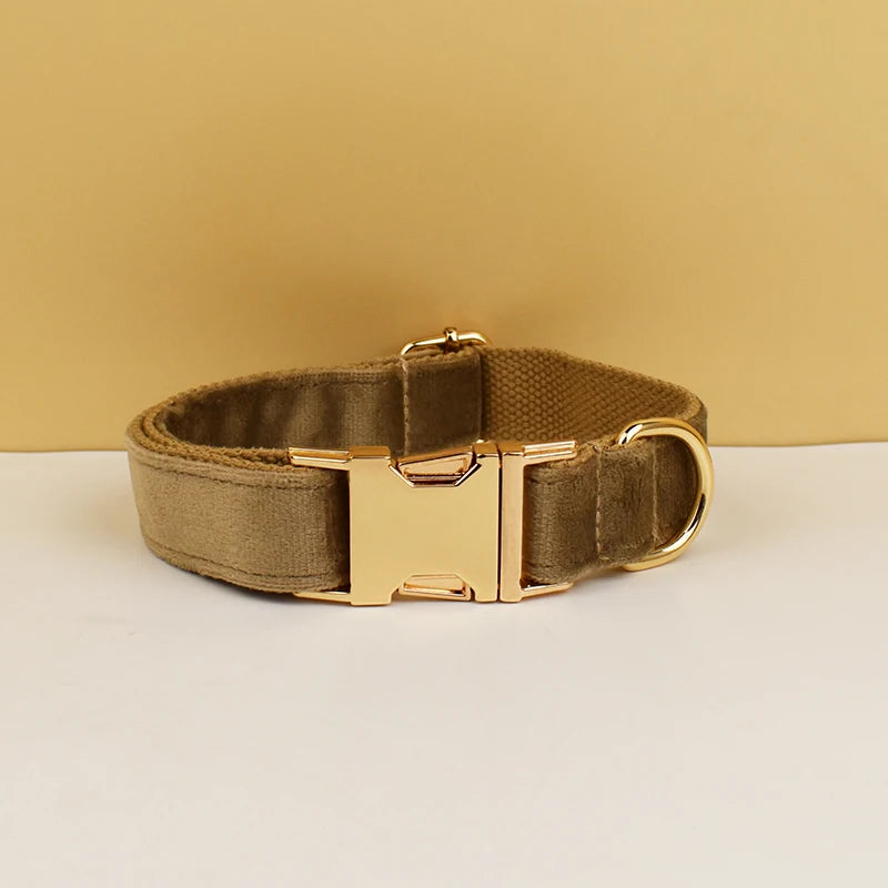 Collier chien velours personnalisé
