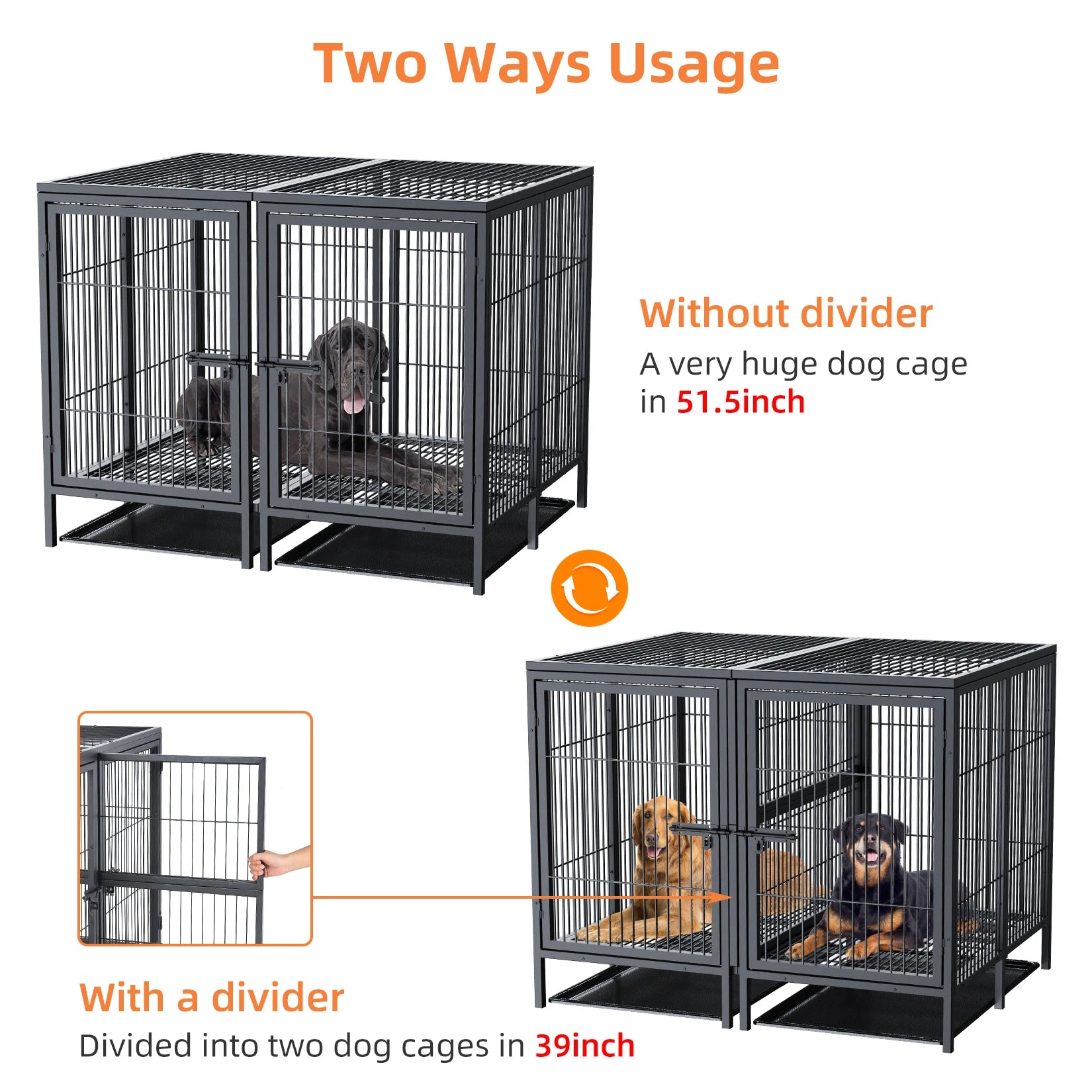 Cage chien métal surélevée XL robuste séparateur