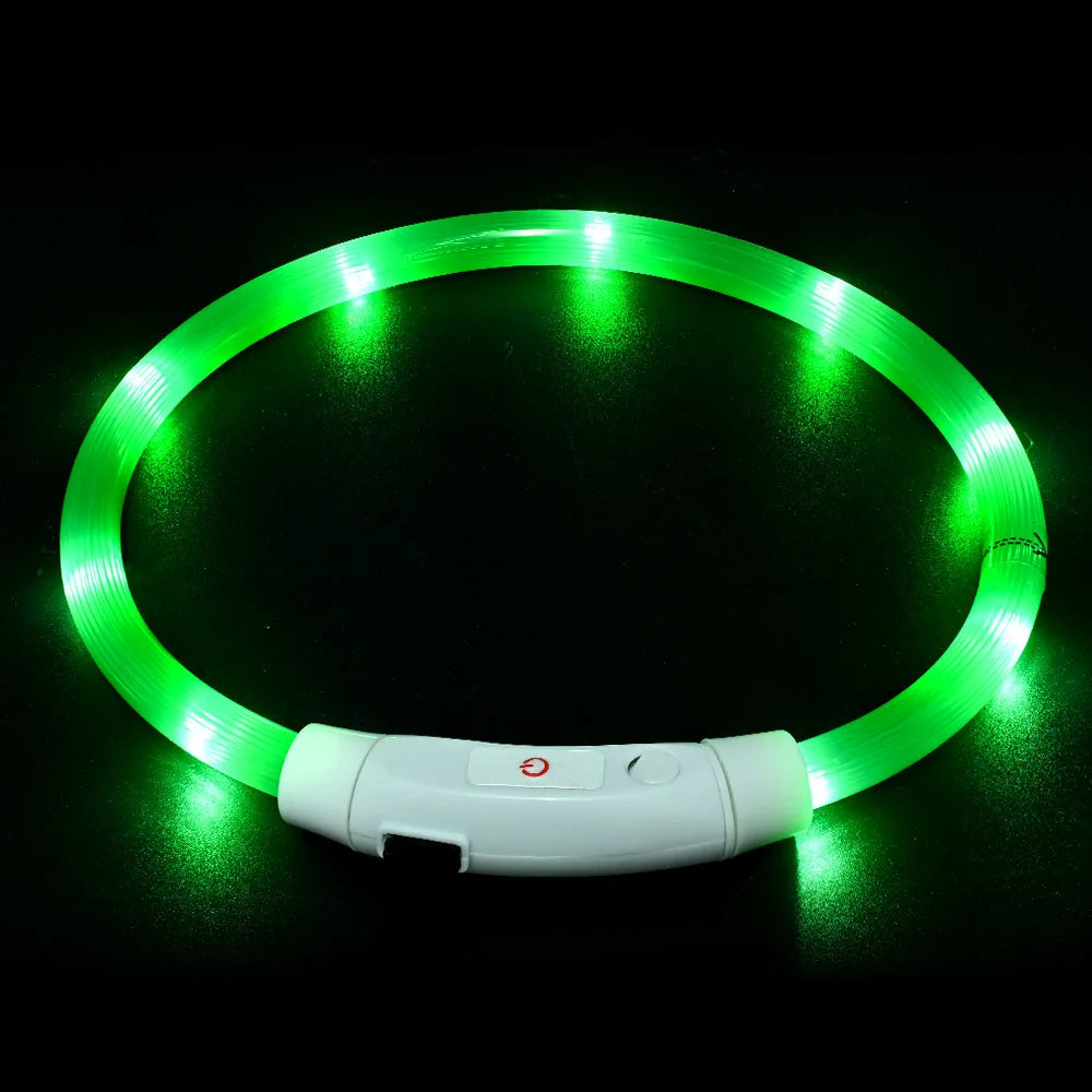 Collier LED chien USB lumineux rechargeable nuit