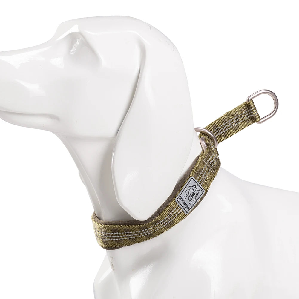 Collier chien réfléchissant