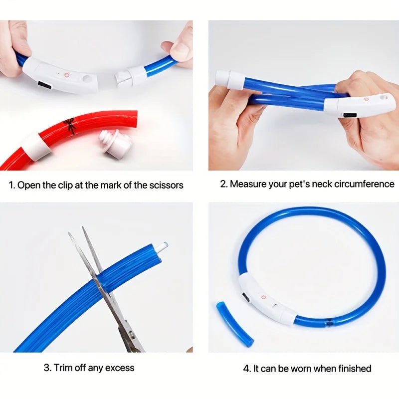 Collier LED chien USB lumineux rechargeable nuit