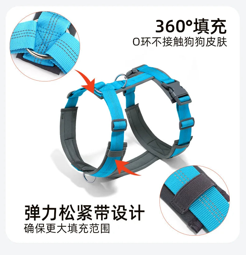 Harnais chien réfléchissant