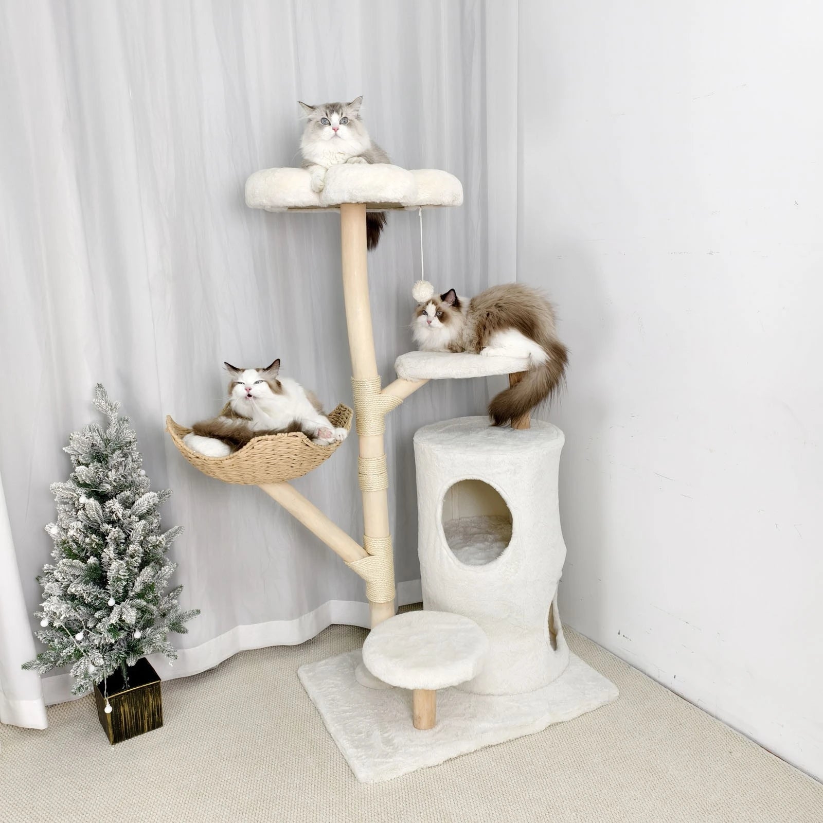 Arbre à chat tour peluche condo griffoir