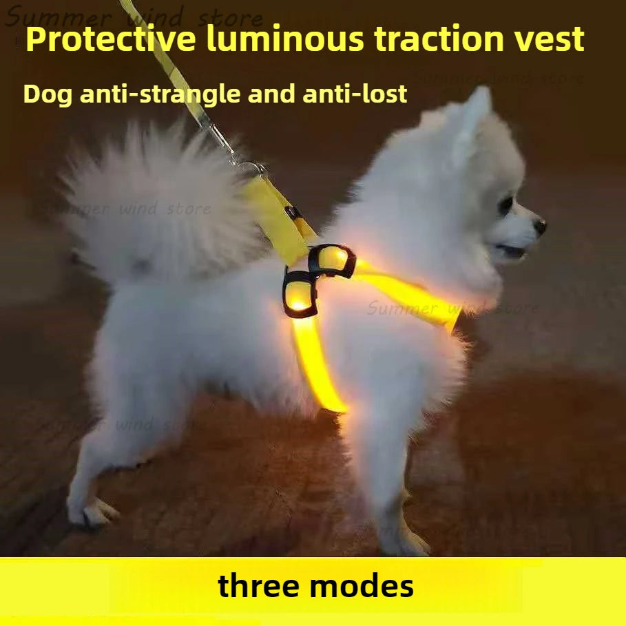 Harnais chien réfléchissant