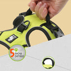 Harnais chien réfléchissant