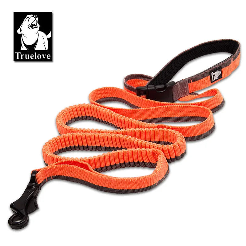 Laisse chien durable
