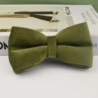 Collier chien velours vert personnalisé gravé