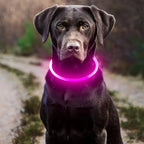 Collier LED chien USB lumineux rechargeable nuit