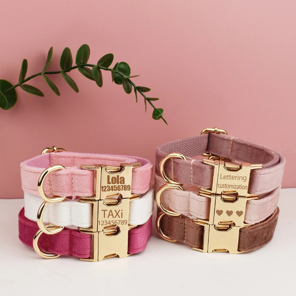 Collier chien velours personnalisé gravé premium