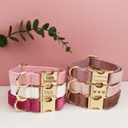 Collier chien velours personnalisé gravé premium