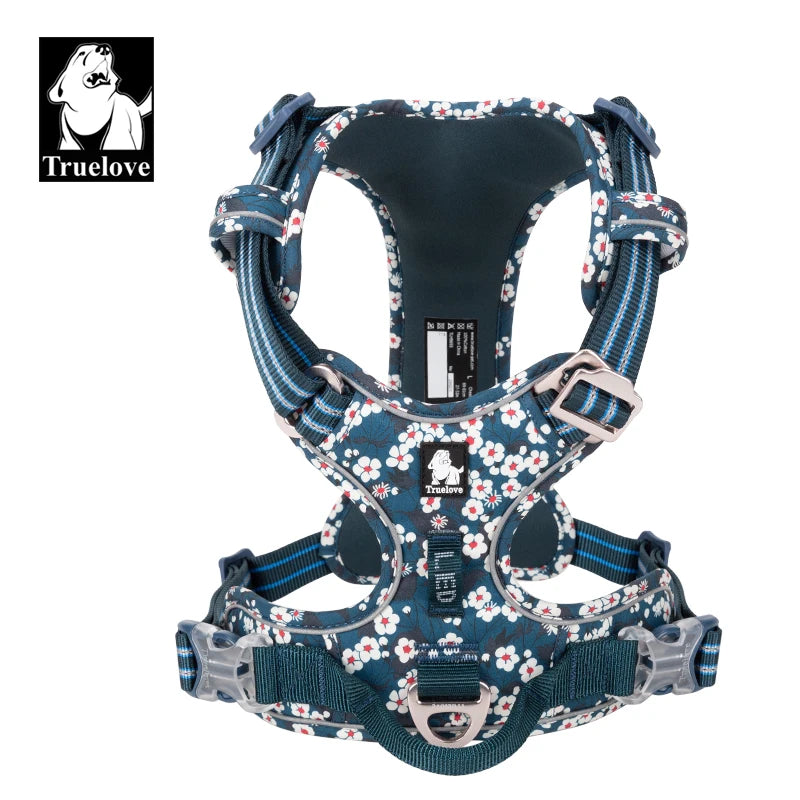 Harnais chien anti-traction