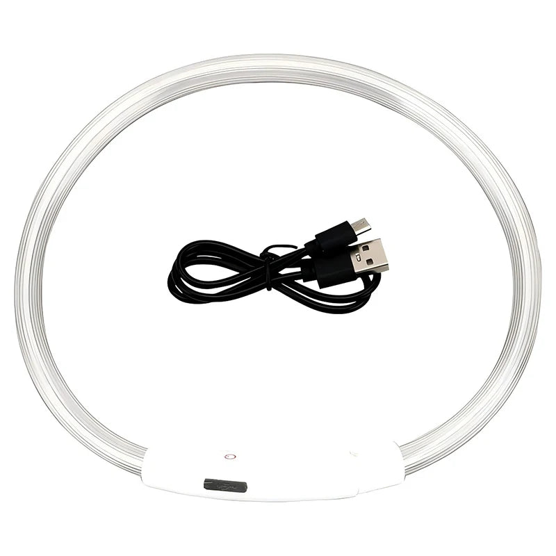 Collier LED chien USB lumineux rechargeable nuit