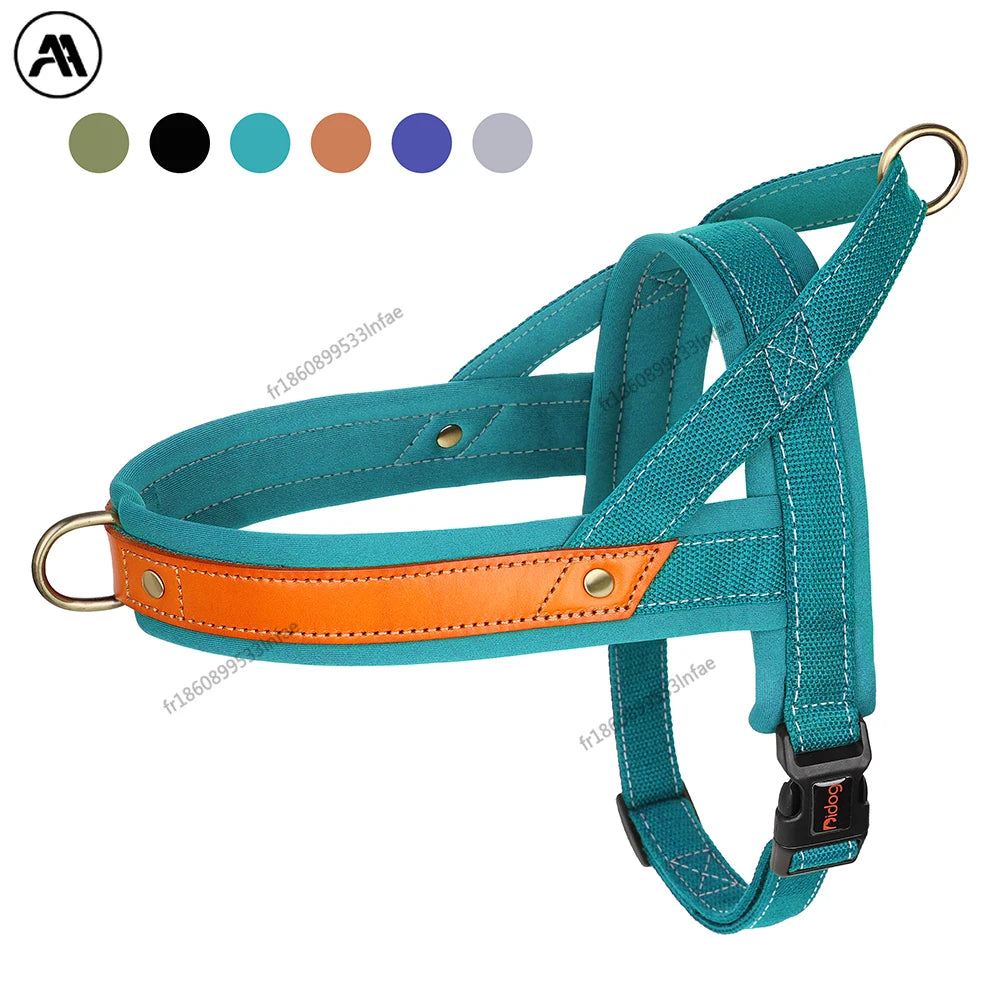 Harnais chien anti-traction