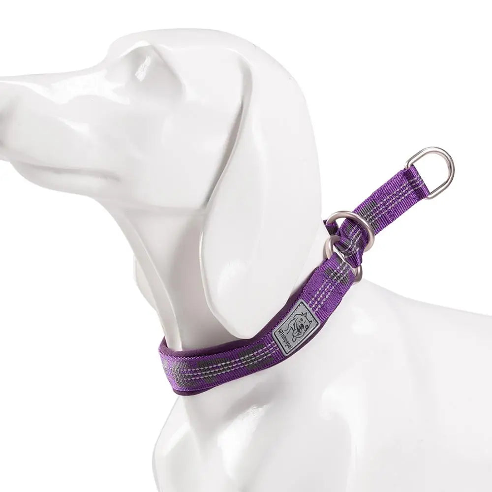 Collier chien réfléchissant
