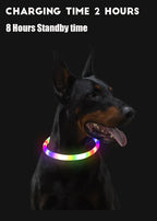 Collier LED chien USB lumineux rechargeable nuit