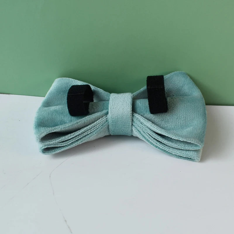 Collier chien velours vert personnalisé premium