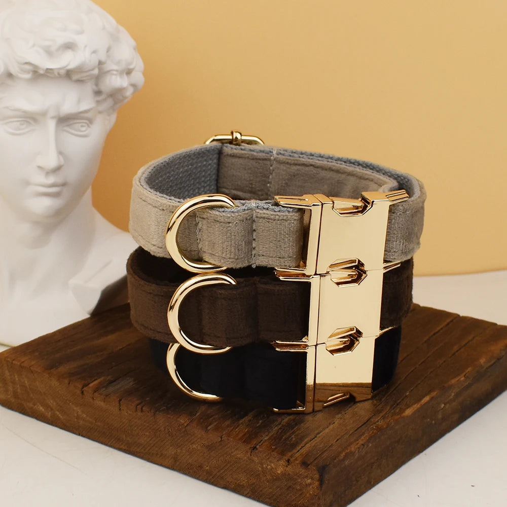 Collier chien velours personnalisé