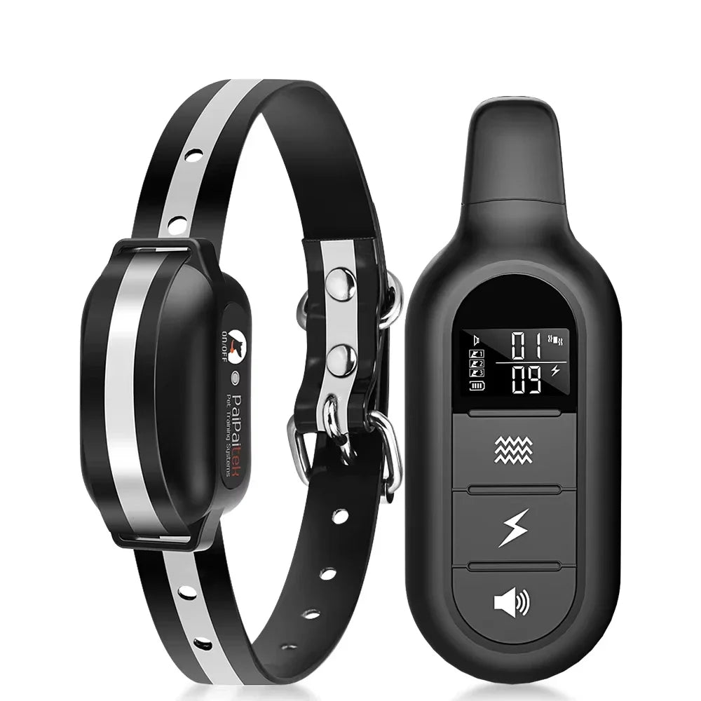 Collier dressage chien 1000 m étanche rechargeable