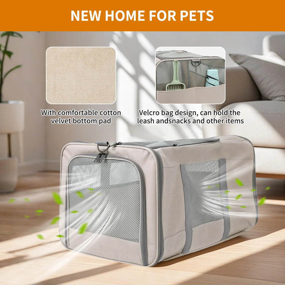 Chariot transport de chats roulettes sécurité voyage